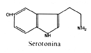 Serotonina