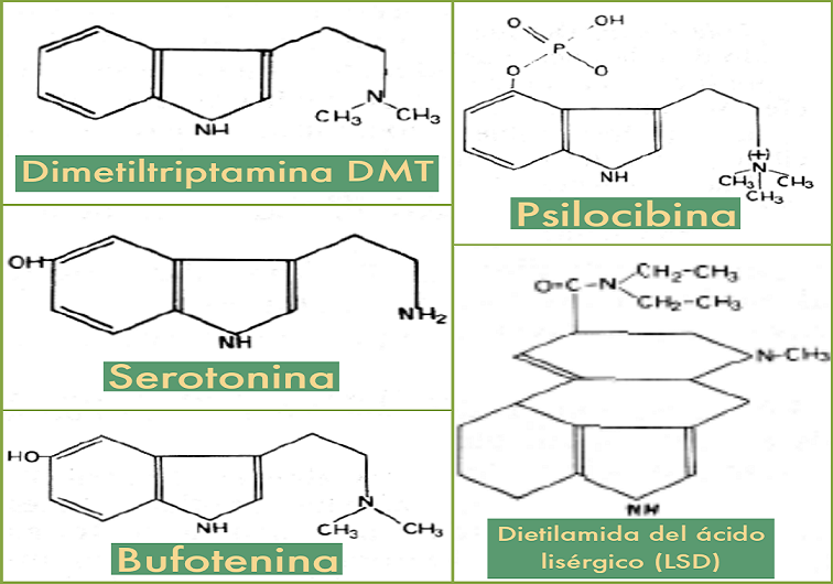 Moleculas Indolicas