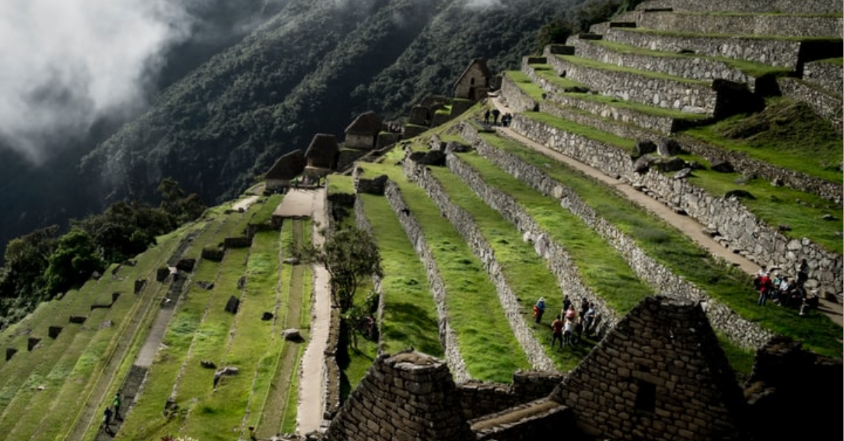 Terrazas de cultivo