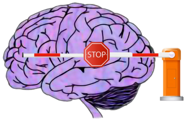 Barrera al cerebro