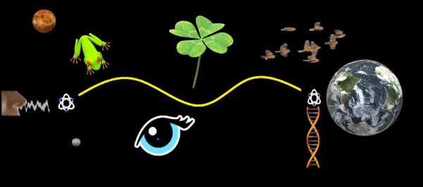 Física cuántica y los procesos biológicos
